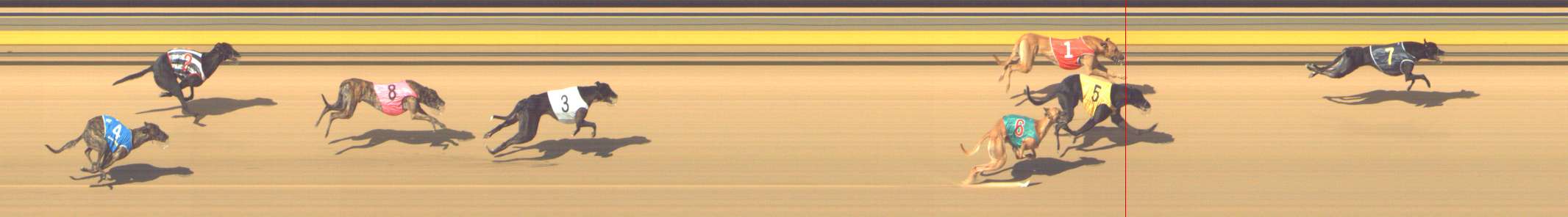 Race result finish photo
